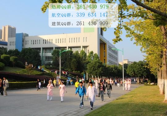 重慶三峽醫(yī)藥高等?？茖W(xué)校