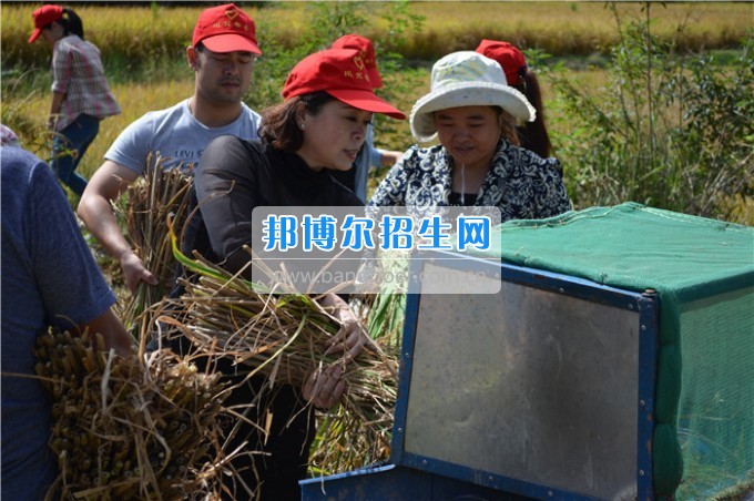 川北幼兒師范高等?？茖W(xué)校歲月積淀中的魅力女性