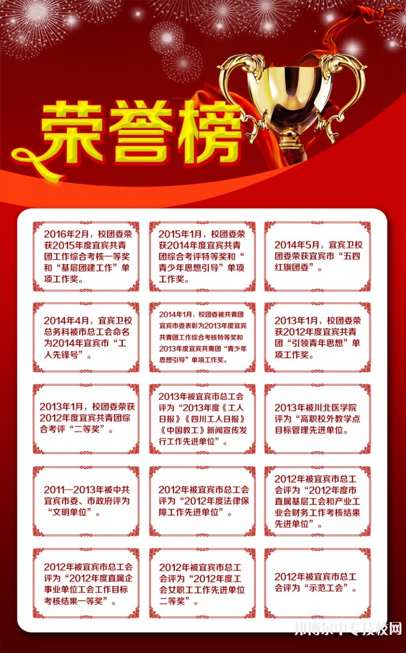 四川省宜賓衛(wèi)生學校榮譽榜