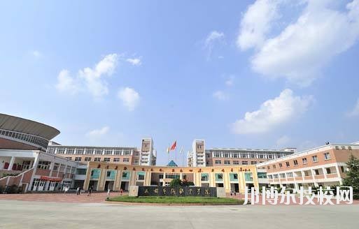 學(xué)院校園占地面積1000余畝，學(xué)院校本部地處成都南郊著名牧馬山風(fēng)景旅游區(qū)，校本部占地面積516畝，建筑面積12.05萬(wàn)平方米，距市區(qū)30分鐘車(chē)程。新校區(qū)位于眉山市青神縣。校園風(fēng)光秀麗，各種生活設(shè)施齊備，建有游泳池、校園網(wǎng)、校園商業(yè)區(qū)和高標(biāo)準(zhǔn)橡膠運(yùn)動(dòng)場(chǎng)。學(xué)院在校學(xué)生近8000人。  學(xué)院面向文化創(chuàng)意產(chǎn)業(yè)和城市化建設(shè)，秉持“礪志尚美，躬行日新”的校訓(xùn)，為社會(huì)培養(yǎng)藝術(shù)類(lèi)為主的高素質(zhì)人才上萬(wàn)名，被譽(yù)為西部地區(qū)應(yīng)用型設(shè)計(jì)師的搖籃。青神校區(qū)占地規(guī)劃為800畝，計(jì)劃3年之內(nèi)全部建成，容納在校學(xué)生6000人。校園建設(shè)除了具有藝術(shù)特色的教室、實(shí)訓(xùn)室、辦公大樓、學(xué)生公寓外，還將建設(shè)高標(biāo)準(zhǔn)的體育運(yùn)動(dòng)場(chǎng)、體育館和現(xiàn)代化的演藝大廳等，除了“成藝”原有的設(shè)計(jì)、表演、建筑經(jīng)管專(zhuān)業(yè)外，新專(zhuān)業(yè)有國(guó)家非物質(zhì)文化遺產(chǎn)—青神竹編工藝，還將開(kāi)設(shè)為當(dāng)?shù)厣鐣?huì)經(jīng)濟(jì)發(fā)展所需要的機(jī)械制造等專(zhuān)業(yè)。預(yù)計(jì)2016年9月正式投入使用。