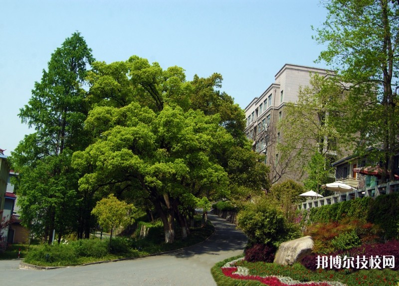 中國(guó)美術(shù)學(xué)院附屬中等美術(shù)學(xué)校2020年報(bào)名條件、招生要求、招生對(duì)象