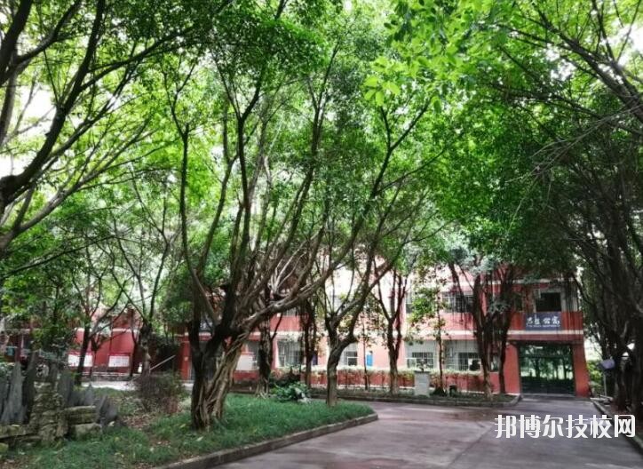 重慶舞蹈學(xué)校2020年報(bào)名條件、招生要求、招生對象