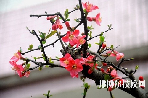 貴州廣播電影電視學(xué)校怎么樣、好不好