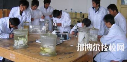 臨夏農(nóng)業(yè)學(xué)校2020年學(xué)費、收費多少