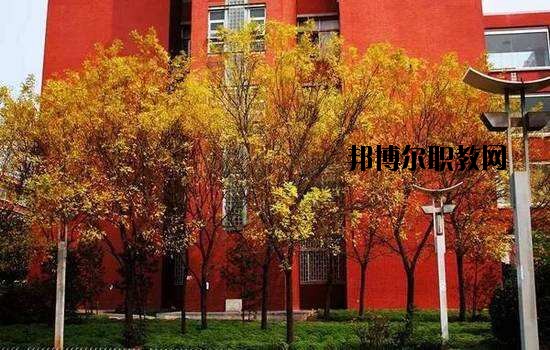鶴峰職業(yè)技術(shù)學(xué)校2020年報(bào)名條件、招生要求、招生對(duì)象