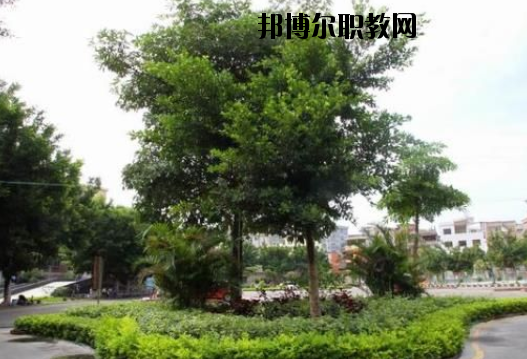 羅定中等職業(yè)技術學校2020年報名條件、招生要求、招生對象