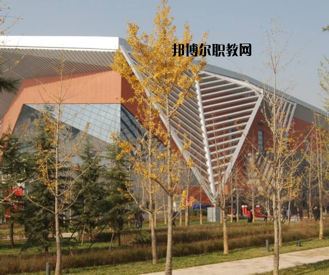 宜昌體育運(yùn)動(dòng)學(xué)校怎么樣、好不好