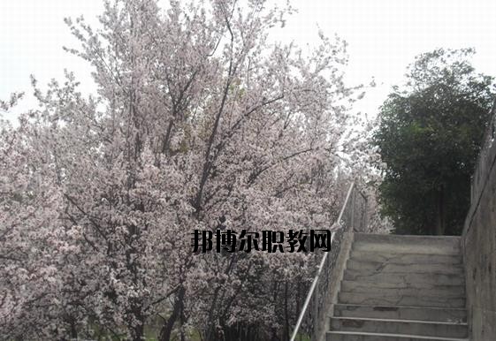?？德毥讨行膶W(xué)校網(wǎng)址網(wǎng)站