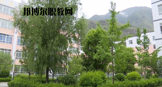 文縣職業(yè)技術(shù)學(xué)校2020年報(bào)名條件、招生要求、招生對(duì)象