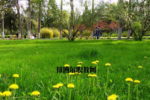 雙江縣職教中心2020年報名條件、招生要求、招生對象