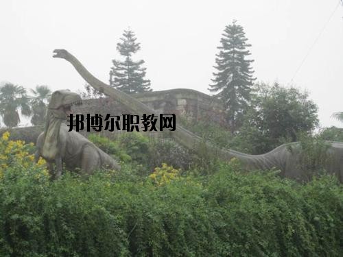 自貢三星職業(yè)技術學校2020年報名條件、招生要求、招生對象