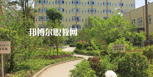 道真中等職業(yè)學(xué)校怎么樣、好不好