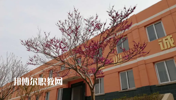 成縣化埡農(nóng)職業(yè)中學(xué)怎么樣、好不好
