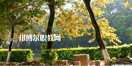 廣西民族中等專業(yè)學校怎么樣、好不好