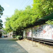 邵陽京華職業(yè)技術(shù)學校