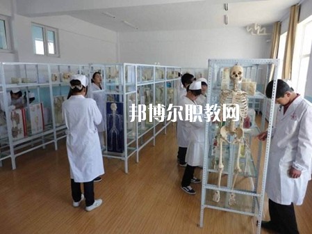 四川2020年讀衛(wèi)校有什么專(zhuān)業(yè)