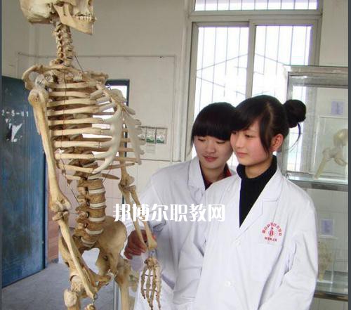 成都2021年衛(wèi)校都有什么專業(yè)適合女生