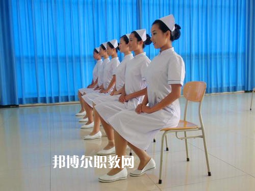 西安2020年衛(wèi)校理論包括什么
