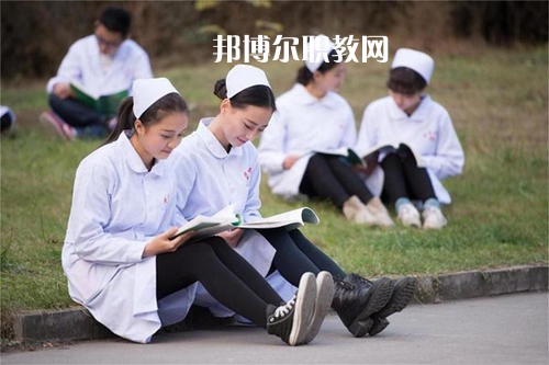 成都2021年在衛(wèi)校學什么專業(yè)好