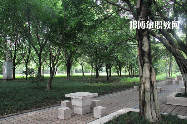 重慶2021年好點的衛(wèi)校