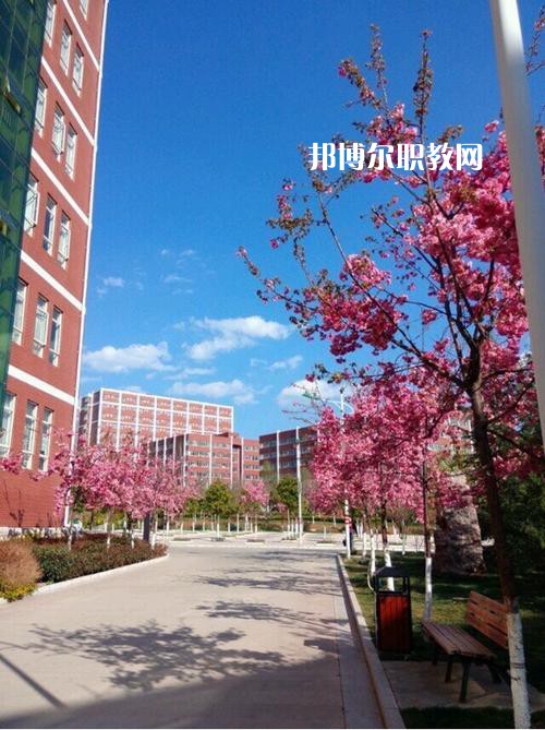 云南藝術(shù)學(xué)校2021年招生辦聯(lián)系電話(huà)