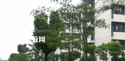 安徽工商行政管理學(xué)校怎么樣、好不好