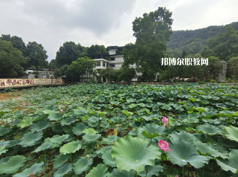 重慶人文藝術職業(yè)學校2022年招生簡章