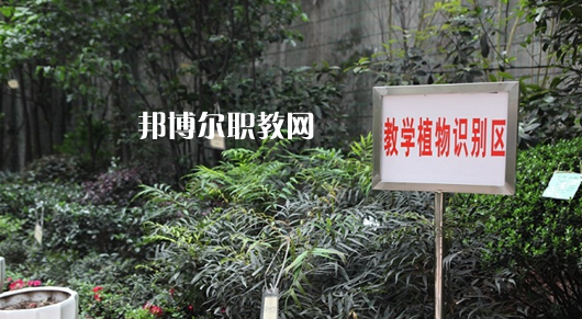 重慶風(fēng)景園林技工學(xué)校2022年學(xué)費(fèi)、收費(fèi)多少