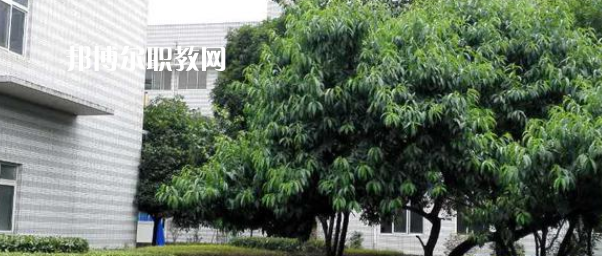 成都市中山職業(yè)技術(shù)學(xué)校2022年報(bào)名條件、招生要求、招生對(duì)象