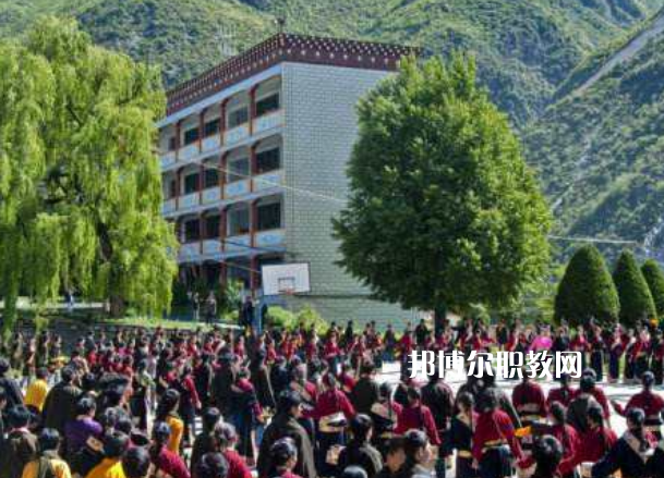 四川省藏文學(xué)校2022年報(bào)名條件、招生要求、招生對象
