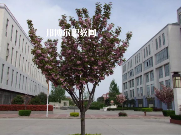 陳倉區(qū)職業(yè)教育中心2022年報(bào)名條件、招生要求、招生對(duì)象