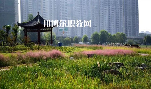 徐州生物工程職業(yè)技術(shù)學(xué)院中專部2022年報(bào)名條件、招生要求、招生對象