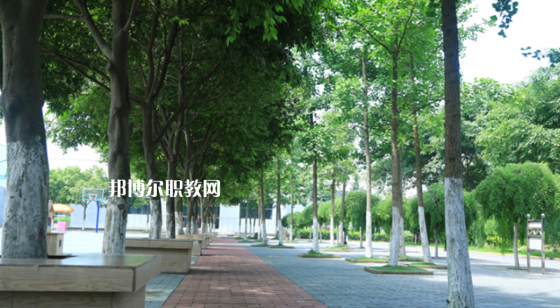大關(guān)縣職業(yè)高級中學(xué)2022年學(xué)費(fèi)、收費(fèi)多少