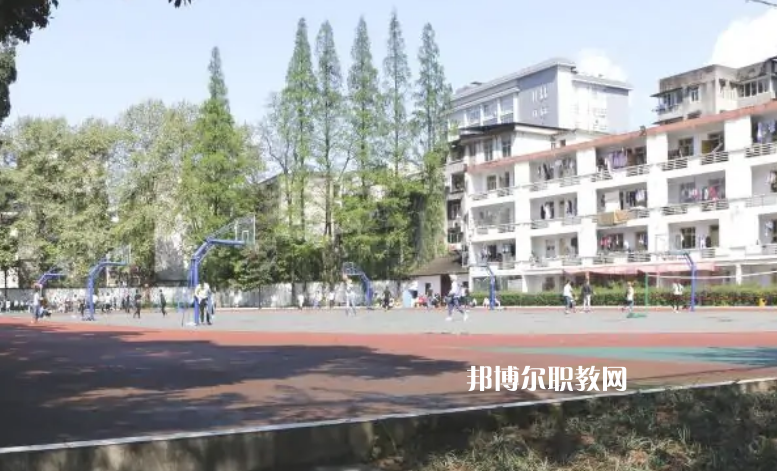 四川省檔案學(xué)校2022年報(bào)名條件、招生要求、招生對(duì)象