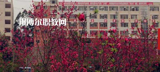 岑溪市中等專業(yè)學(xué)校2022年報(bào)名條件、招生要求、招生對象