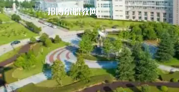 湖北高職?？圃盒Ｅ琶?0強