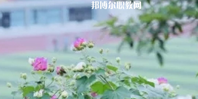 眉山技師學(xué)院地址在哪里，哪個(gè)地區(qū)，哪個(gè)城市?