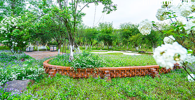 重慶望江技工學(xué)校地址在哪里，哪個地區(qū)，哪個城市?