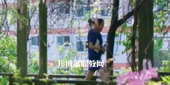 2023金華市成功學(xué)校招生計(jì)劃 招生人數(shù)是多少(附要求、條件、對(duì)象)