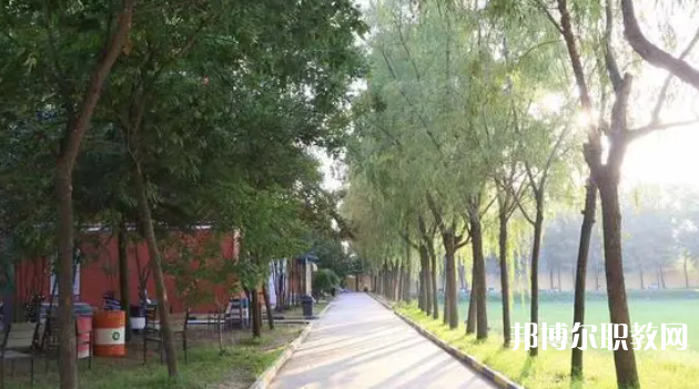 2023西安大中科技技工學(xué)校招生計劃 招生人數(shù)是多少(附要求、條件、對象)