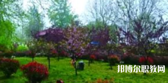 2023隆堯縣職業(yè)技術(shù)教育中心招生計劃 招生人數(shù)是多少(附要求、條件、對象)