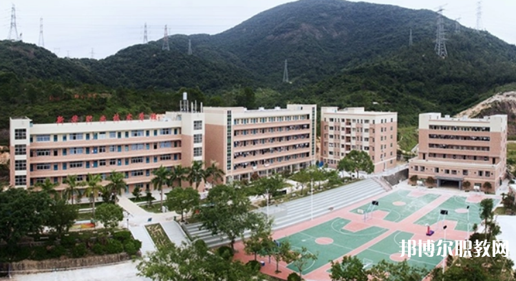 廣東高州農業(yè)學校2023年招生錄取分數線（2024參考）