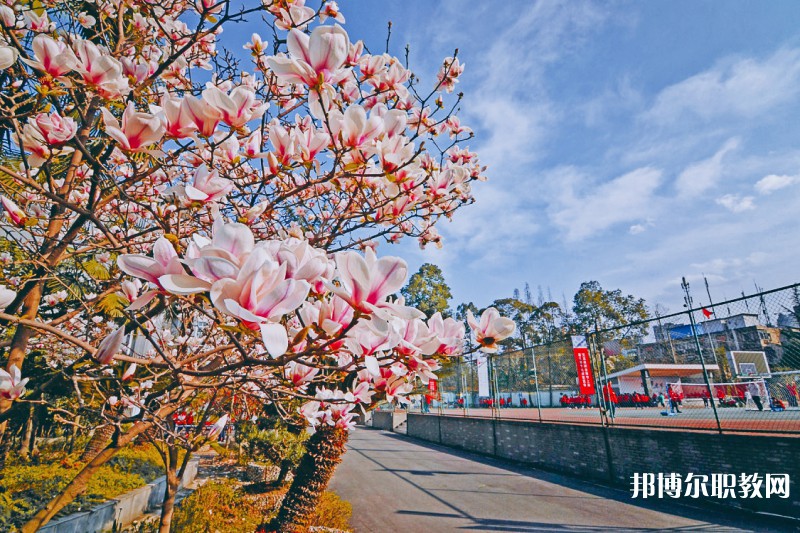 四川2024年初中畢業(yè)可以讀哪些中專(zhuān)學(xué)校