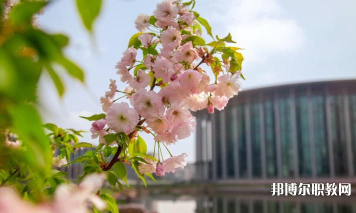 河南藝術職業(yè)學院中專部怎么樣、好不好