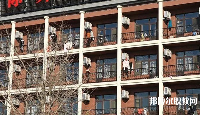 2024大連國際舞蹈學(xué)校招生計劃 招生人數(shù)是多少(附要求、條件、對象)